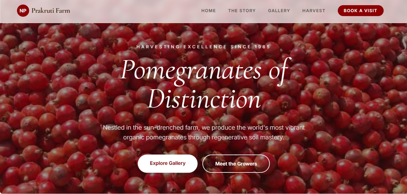 Portfolio Website Image